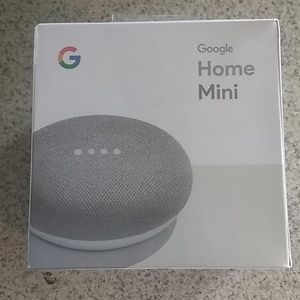 Google home mini in chalk